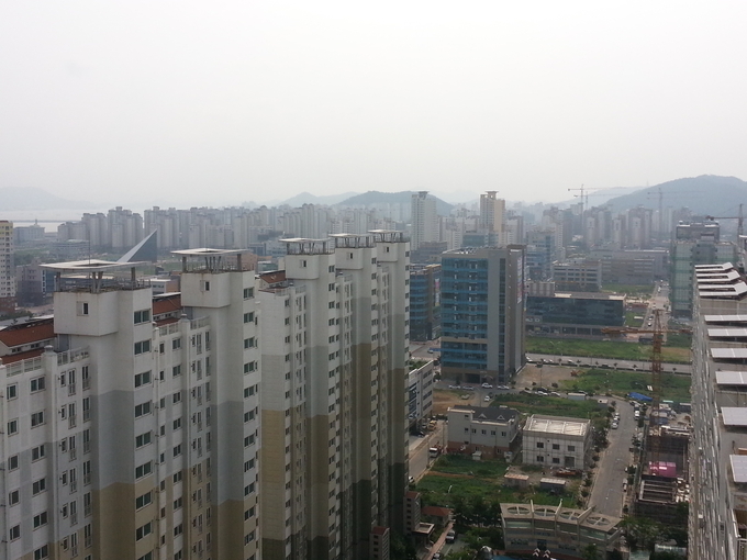 사진 : 위키백과 사진 자료