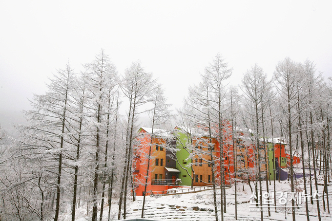 사진-깊은산속옹달샘 제공