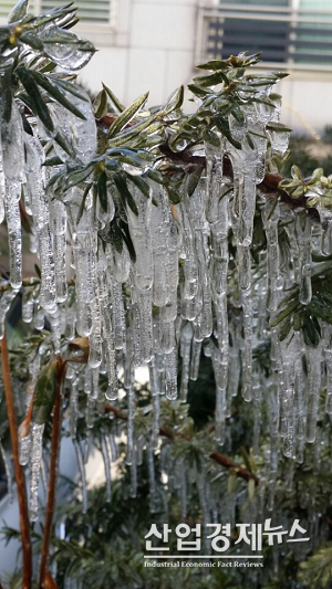 사진-박진경 기자