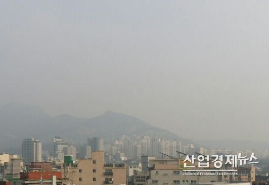 사진 : 박진경 기자