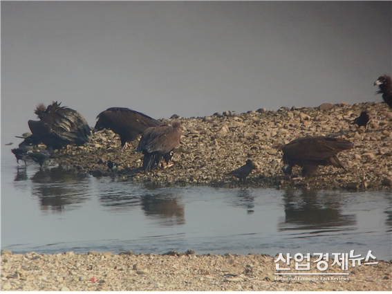 사진제공 = 환경운동연합