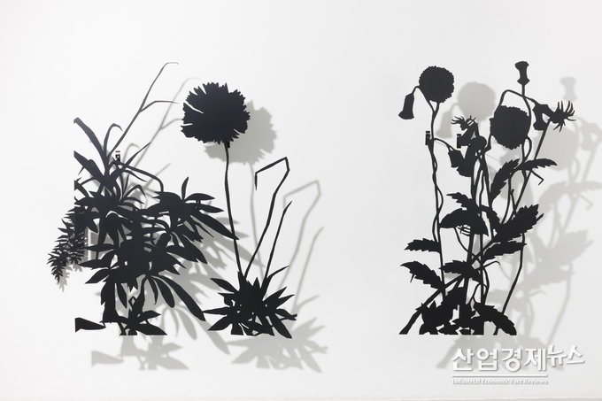 조진희 작가의 '입체 그림'