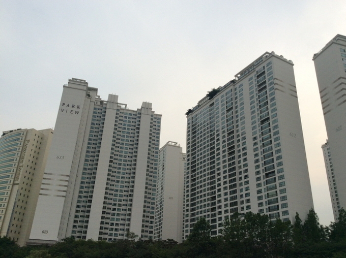 문재인 정부가 수요억제 정책과 더불어 공급확대 정책을 병행키로 했다.