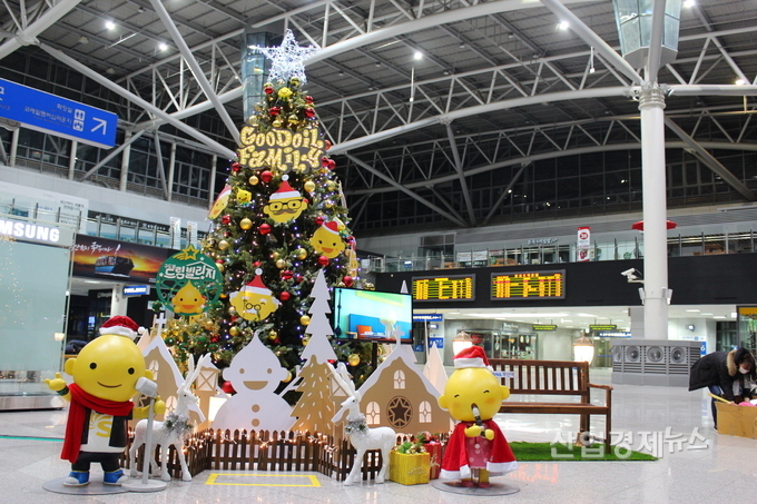 구도일 패밀리 트리