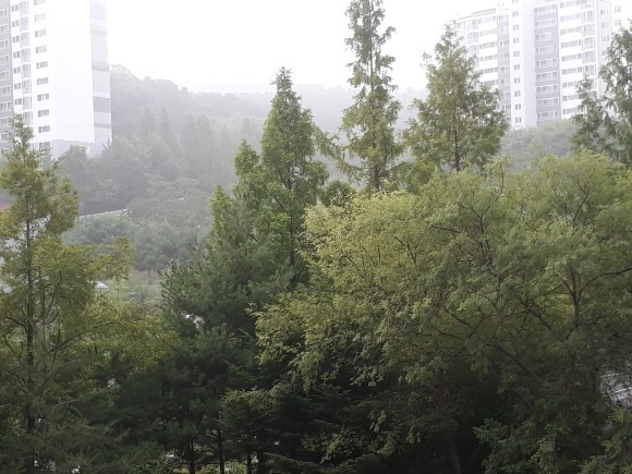 "새 소리만 들릴 뿐 집 주위 소음이 거의 없다. 길 다니는 사람도 보기 드물다. 탁하고 시끄러운 저자 거리를 떠돌던 탕자가 고향으로 돌아온 것처럼 마음이 편하다"