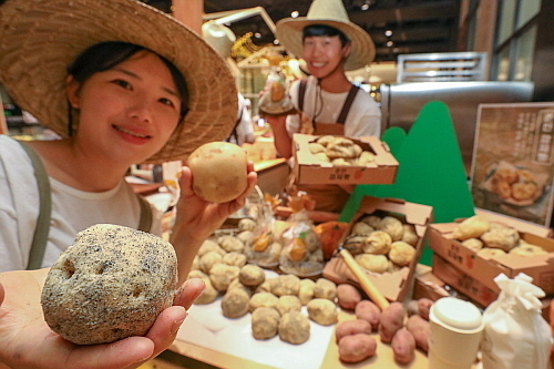 춘천 농부 부부가 팝업스토어를 앞두고 '감자빵(앞쪽)'을 '진짜 감자(뒤쪽)'와 비교하는 모습...현대백화점 제공