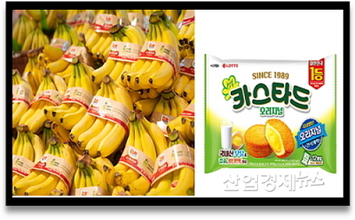 PLA 패키지를 적용한 돌(Dole) 바나나(좌)와 종이완충재 사용예정인 롯데제과 카스타드...<사진=각사 제공>