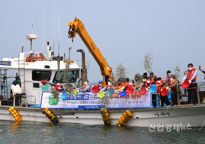 현대오일뱅크 직원들이 삼길포항 해상에 새끼 우럭과 광어를 방류하고 있다. 사진=현대오일뱅크