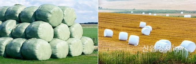 논밭 마시멜로로 불리는 곤포 사일리지