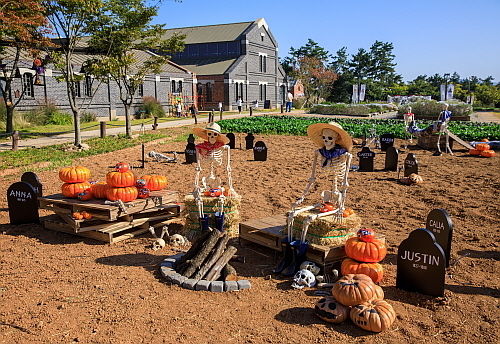 할로윈 이벤트 행사사진<출처 :상하농원>