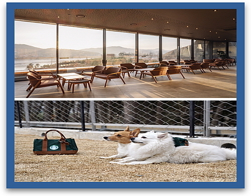 더북한강R점 내부(위) 및 펫 파크(아래) 연출 컷...스타벅스 제공