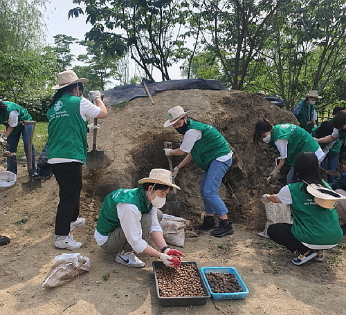 서울 노을공원에서 묘목 씨앗 심기 봉사를 펼치고 있는 직원들...스타벅스 제공