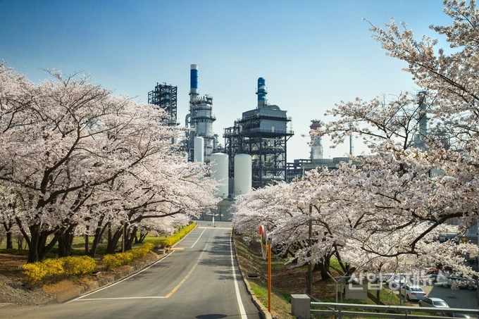 SK인천석유화학 벚꽃동산 모습. 올해는 이상기온으로 개방행사를 취소했다. 사진=SK이노베이션