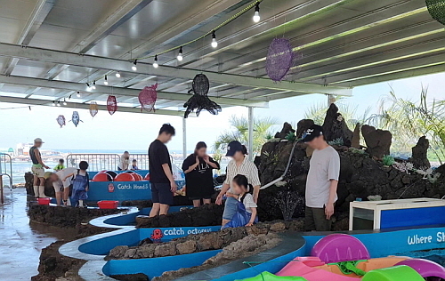 제주 바다 체험장 모습...<사진=탐앤탐스 제공>