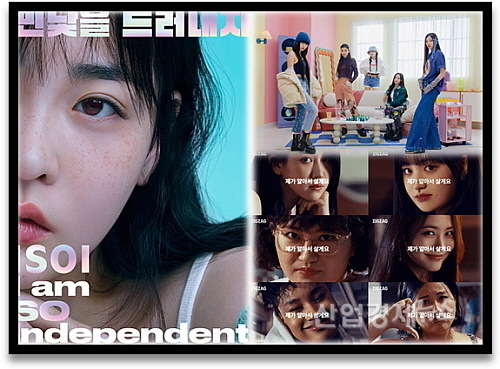 기사 관련 이미지 컷...<사진=(왼쪽부터 시계방향) 아이소이, 리바이스, 지그재그 제공> 제공>