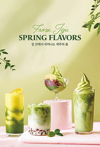 출처 : 엠즈씨드 폴 바셋