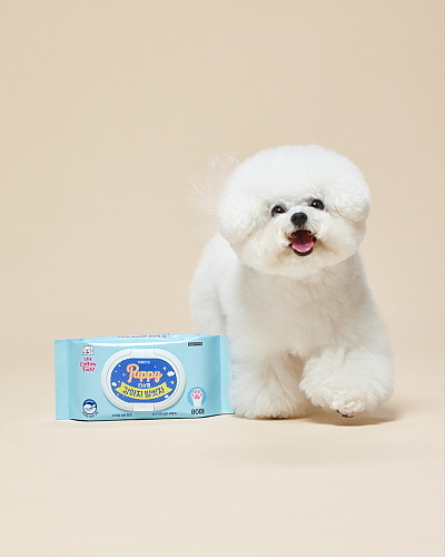 신제품 강아지 발씻자 티슈형 연출 컷...<사진=LG생활건강 제공>