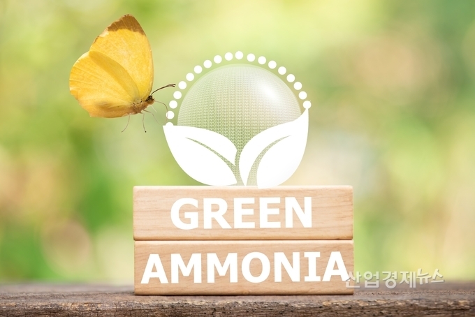 출처 : 셔터스톡